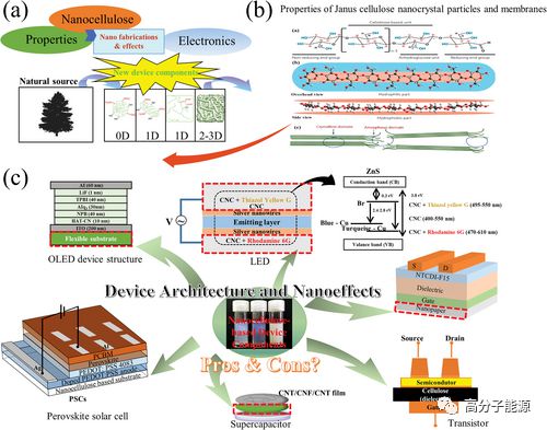 AFM納米纖維素 柔性電子與能源器件的多功能平臺(tái)